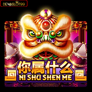 nishushenme